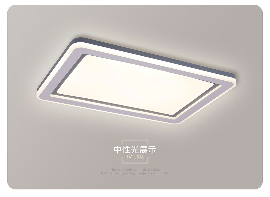 簡(jiǎn)約吸頂燈