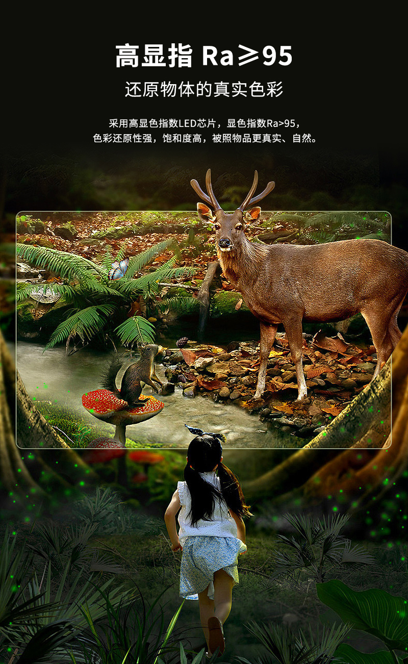 簡(jiǎn)創(chuàng)03